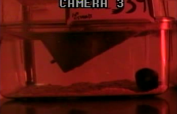 homecage_night_red