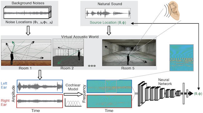 Andrew Francl and Josh McDermott train a deep neural network enhanced with human ears, to understand how sounds are localized in a complex acoustic environment. 