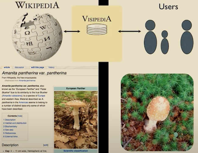 The Visipedia project led by Pietro Perona (Caltech) and Serge Belongie (Cornell Tech), is aimed at building machine learning systems to empower communities of experts, such as naturalists. 