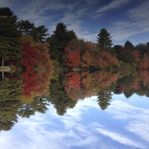 Workshop on Learning Data Representation: Hierarchies and Invariance