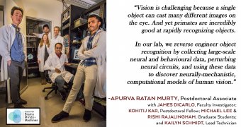 Apurva Ratan Murty: High-Level Vision