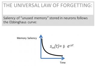 Figure No. 2 from CBMM Memo No. 068 - The Universal Law of Forgetting