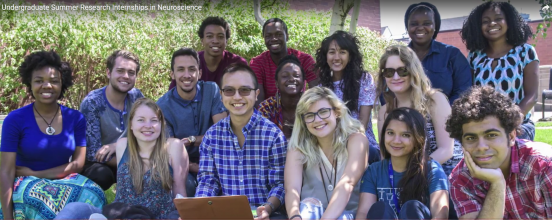 Group photo of the 2015 CBMM Undergraduate Summer Research Interns
