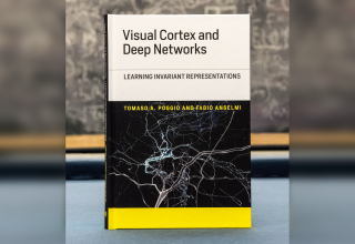 Visual Cortex and Deep Networks: Learning Invariant Representations