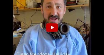 Embedded thumbnail for How many layers does the cerebral cortex have?