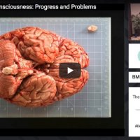 The Sciences of Consciousness: Progress and Problems