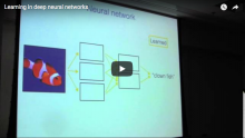 Learning in Deep Neural Networks