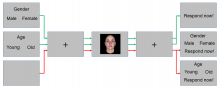 Task Dependence of Visual Representations Task Dependence of Visual Representations