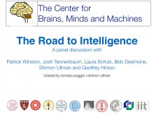 The Road to Intelligence