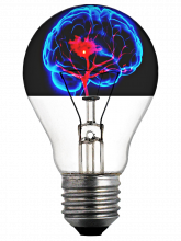 lightbulb with a brain inside
