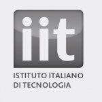 Italian Institute of Technology (IIT)