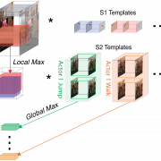 Invariant representations for action recognition in the human visual system