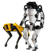 two of Boston Dynamics' robots