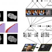 Biologically Plausible Implementations of i-theory for feedforward face recognition and object recognition in the ventral stream