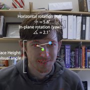 Face Looking Behavior and Image Statistics in the Real World
