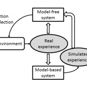 Competition and cooperation between multiple learning systems