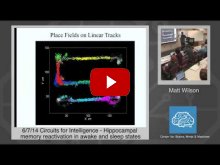 Embedded thumbnail for Matt Wilson: Hippocampal memory reactivation in awake and sleep states
