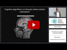 Embedded thumbnail for The thalamus in cognitive control and flexibility (1:19:21)