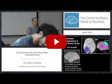 Embedded thumbnail for Functional Specificity in the Human Brain: A Very Brief History (12:41)