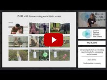 Embedded thumbnail for Comparing human and monkey neural circuits for processing and social scenes