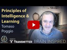 Embedded thumbnail for  BI 229 Tomaso Poggio: Principles of Intelligence and Learning