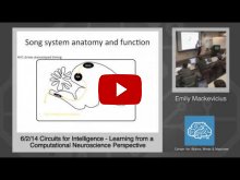 Embedded thumbnail for Emily Mackevicius: Learning from a Computational Neuroscience Perspective