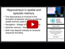 Embedded thumbnail for Hippocampal mechanisms of memory and cognition: Part 1