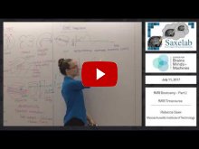 Embedded thumbnail for fMRI Bootcamp Part 2 - fMRI Timecourse (1:22:18)
