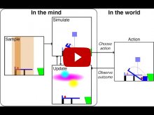 Embedded thumbnail for Rapid trial-and-error learning with simulation supports flexible tool use and physical reasoning [video]