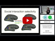 Embedded thumbnail for The neural computations underlying real-world social interaction perception