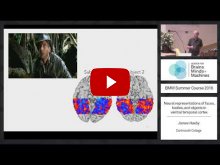 Embedded thumbnail for Neural representations of faces, bodies, and objects in ventral temporal cortex (46:59)