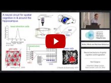 Embedded thumbnail for Neural Mechanisms of Spatial Cognition and Imagination