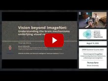 Embedded thumbnail for Vision beyond ImageNet: Understanding the brain mechanisms underlying visual recognition