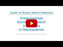 Embedded thumbnail for 2015 Undergraduate Summer Research Internships in Neuroscience 