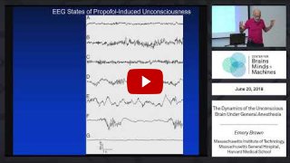 Embedded thumbnail for The Dynamics of the Unconscious Brain Under General Anesthesia (45:59)