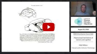 Embedded thumbnail for Hippocampal mechanisms of memory and cognition
