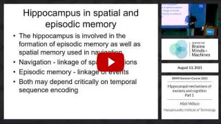 Embedded thumbnail for Hippocampal mechanisms of memory and cognition: Part 1