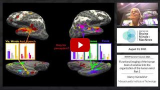 Embedded thumbnail for Functional imaging of the human brain: A window into the organization of the human mind - Part 1