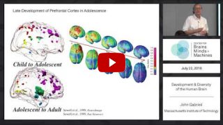 Embedded thumbnail for Development and Diversity of the Human Brain
